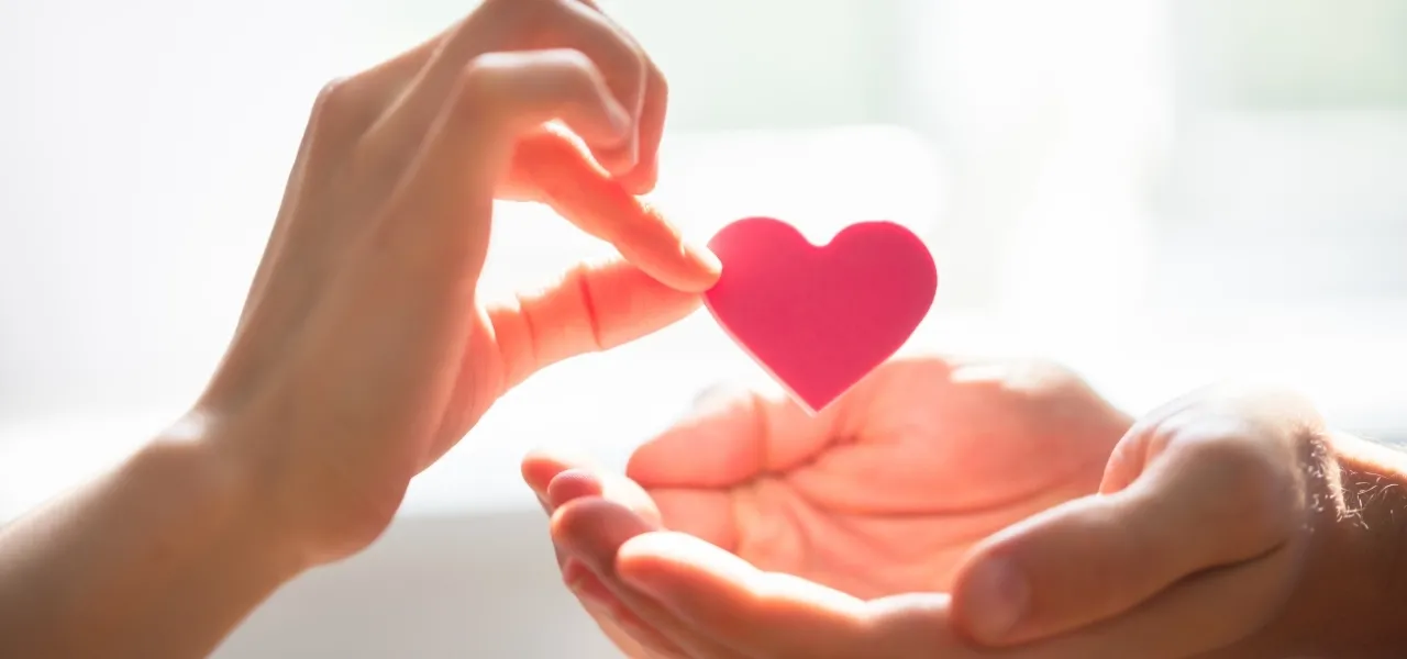 A Donation on Every Booking